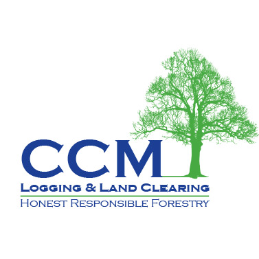 CCM_Logo